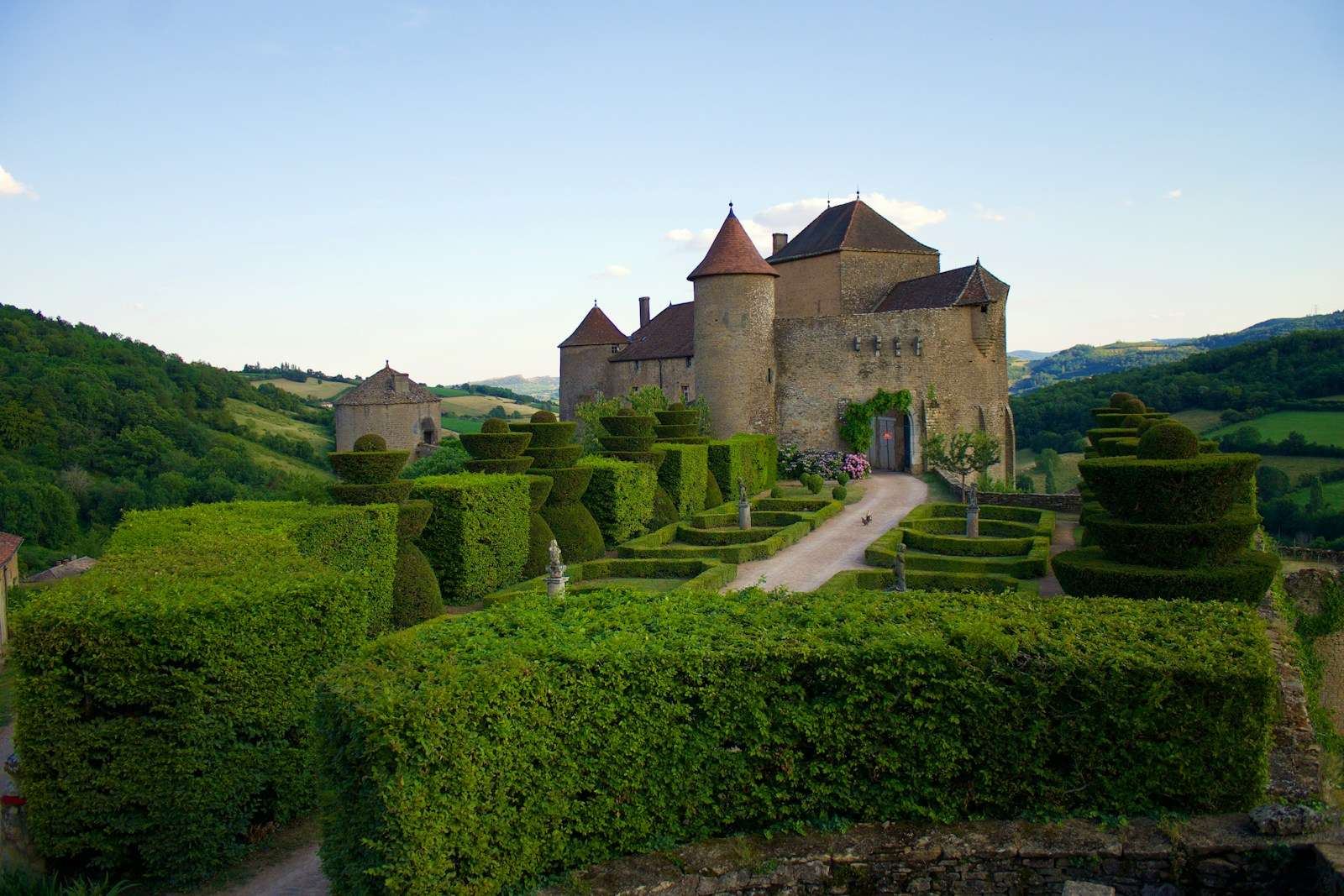 Wine 101 The Fascinating Burgundy