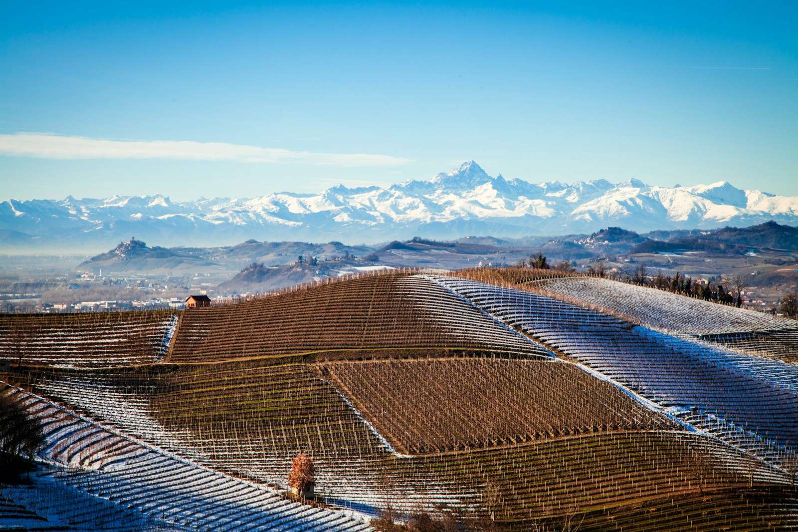 Wine 101: The Fascinating Nebbiolo