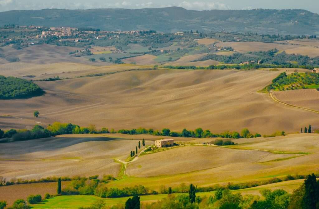 Wine 101 Amazing Vino Nobile di Montepulciano