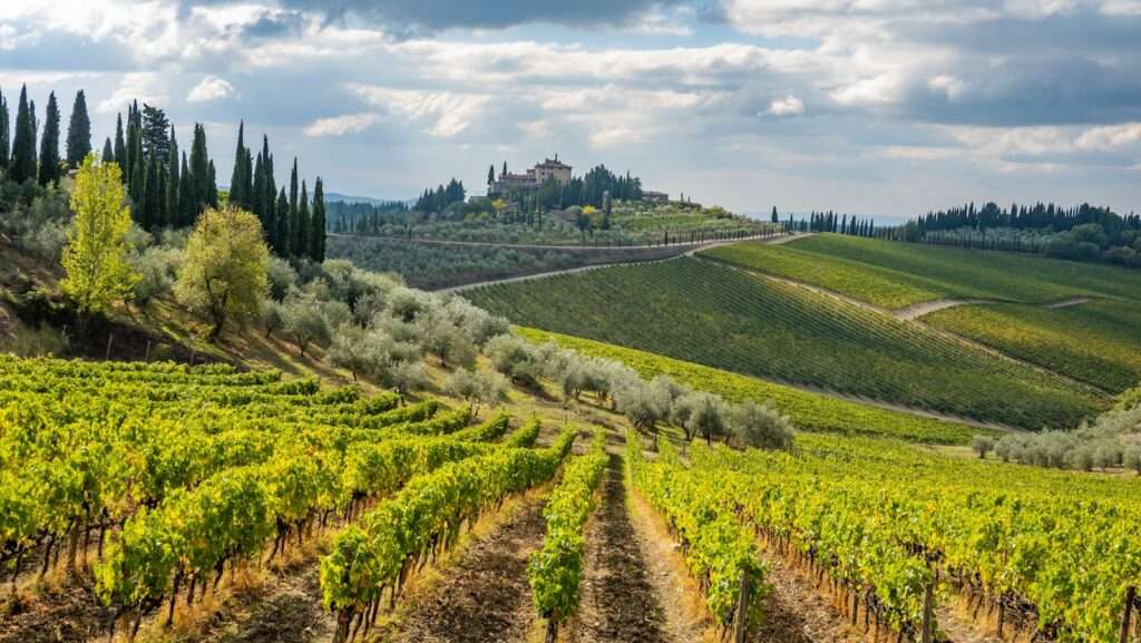 Wine 101- The Fascinating Chianti