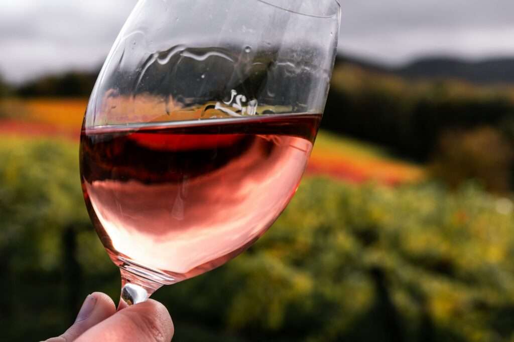 Wine Regions to Visit