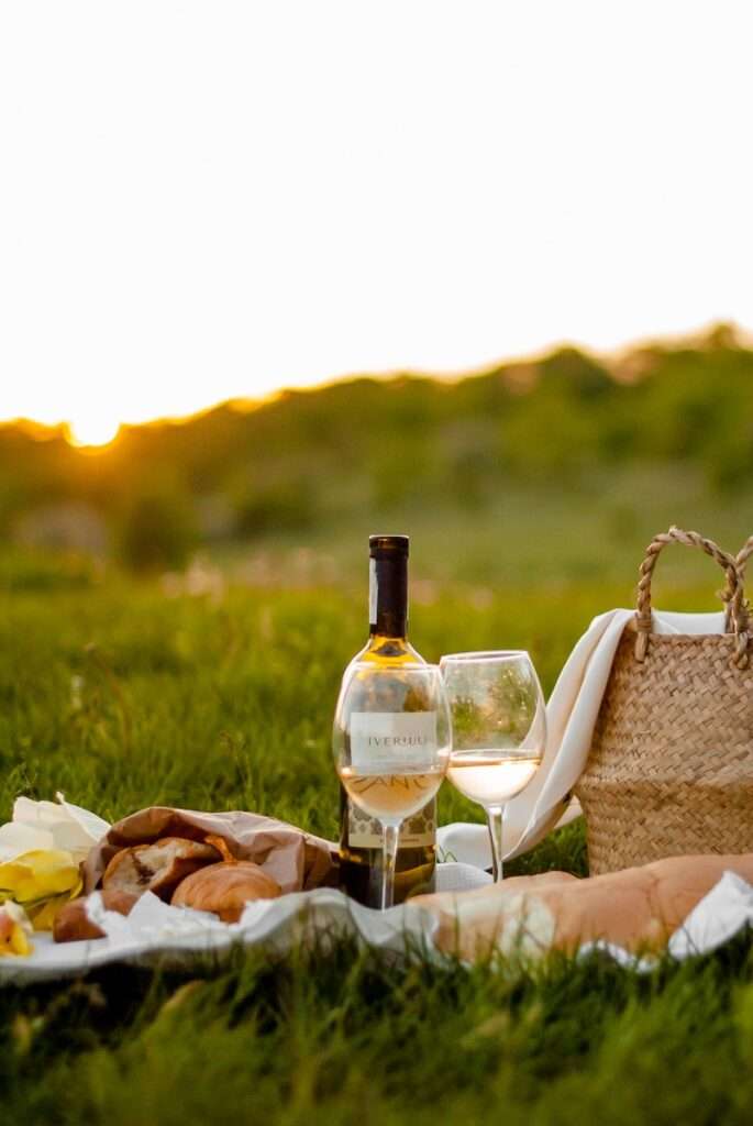Wine Picnic Ideas
