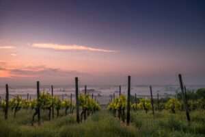 Wine Regions to Visit, Wine Regions