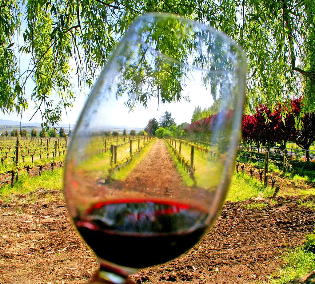 Wine-Tasting Team Contests