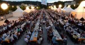 Wine Festivals