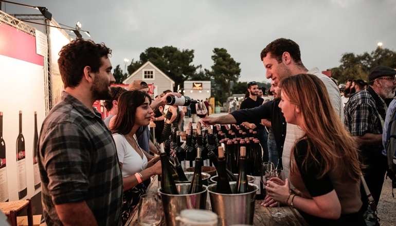 Wine Festivals