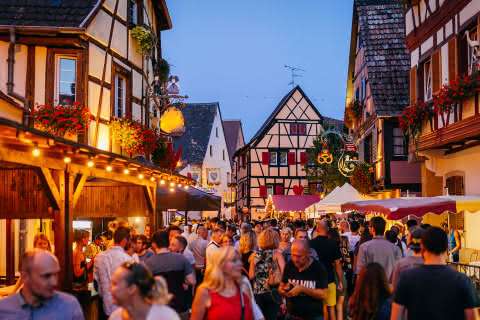 Wine Festivals