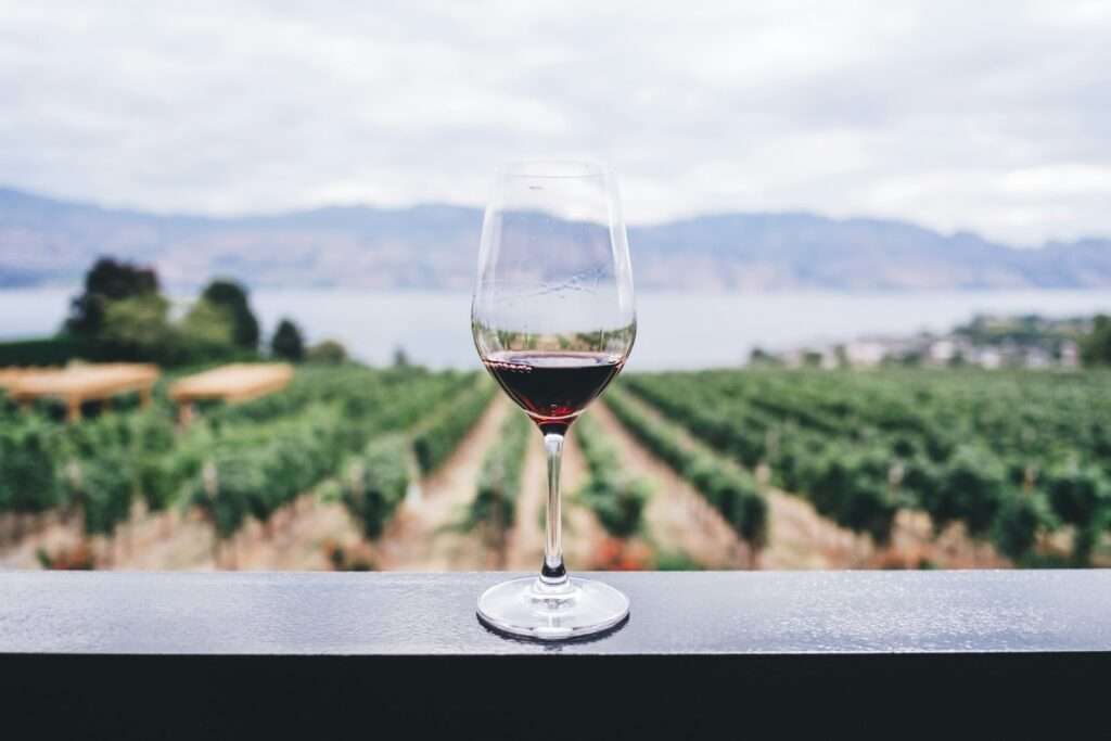 Sustainable Wineries