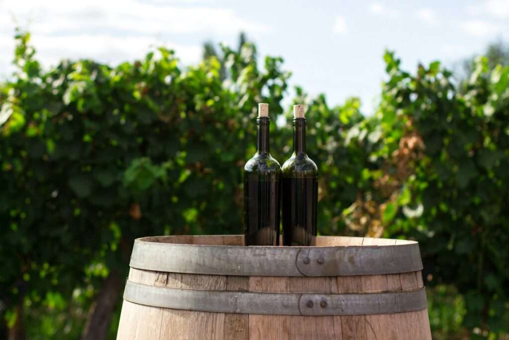 Wine Tasting Team Building Ideas