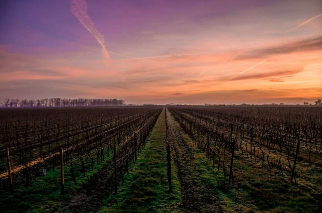 Wine Tasting Team Building Ideas
