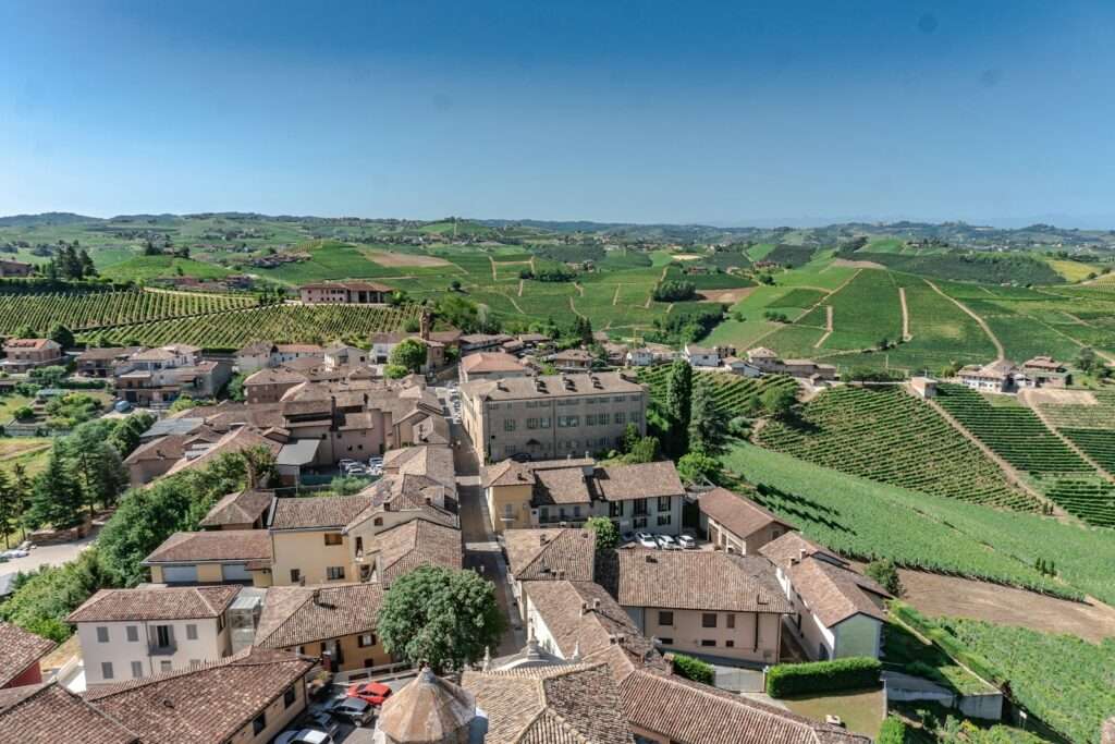 Top 10 Wines