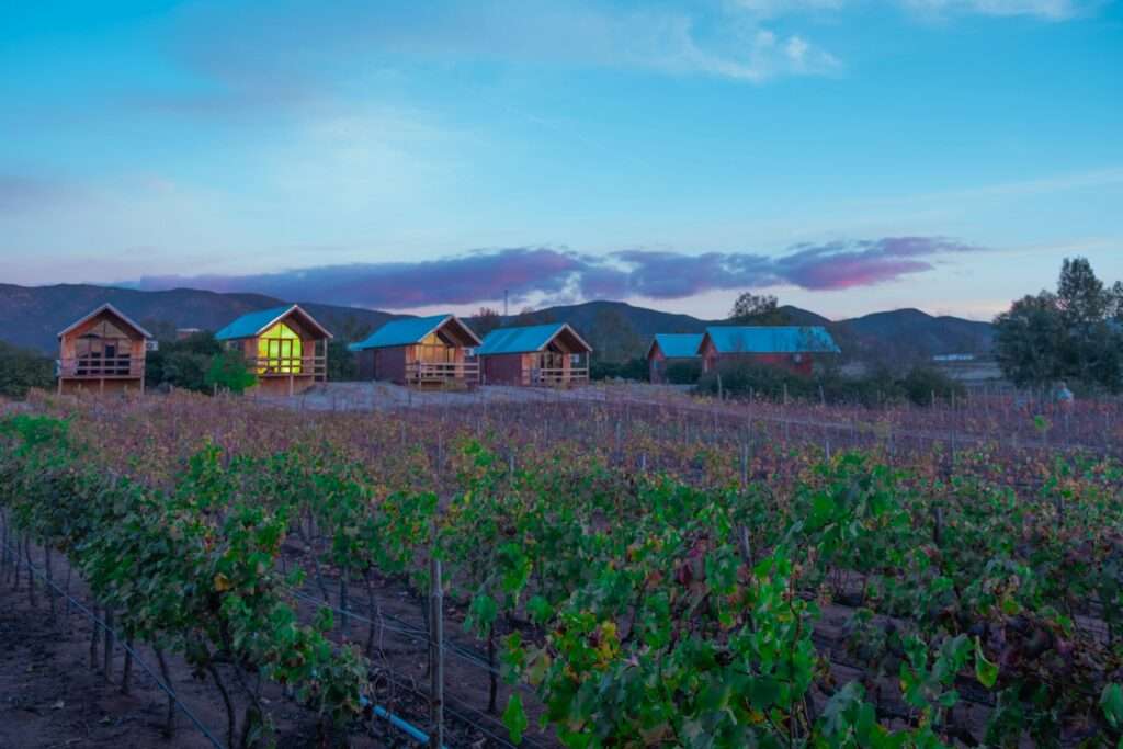 Wine Tasting Team Building Ideas
