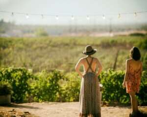 Wine Regions to Visit