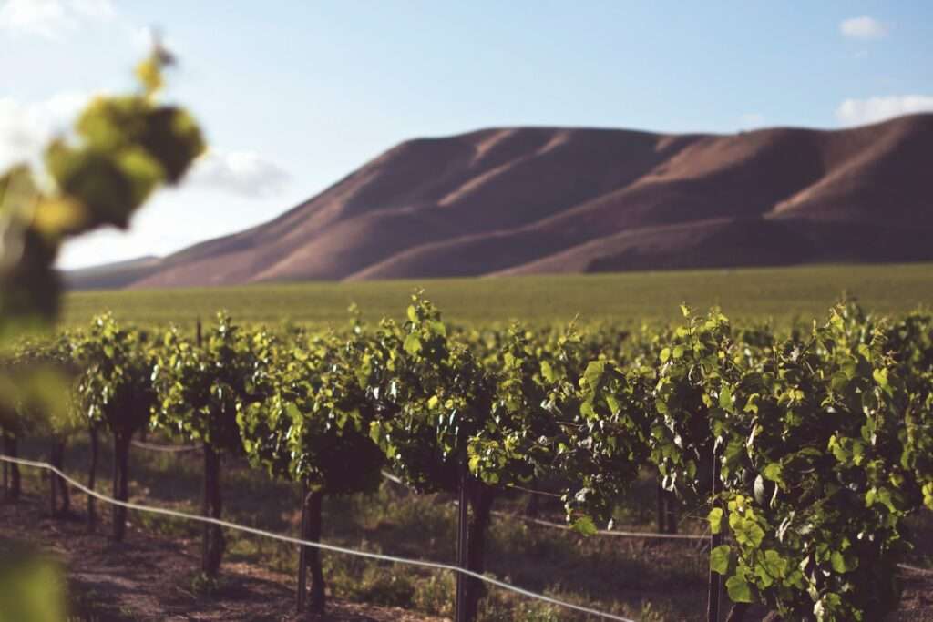 Wine Tasting Team Building Ideas