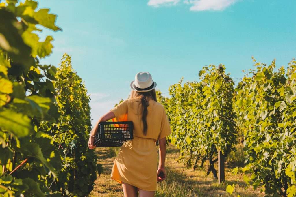Wine Tasting Team Building Ideas
