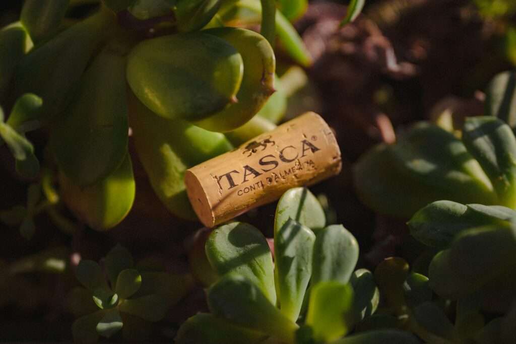 Best Wine Tasting Events