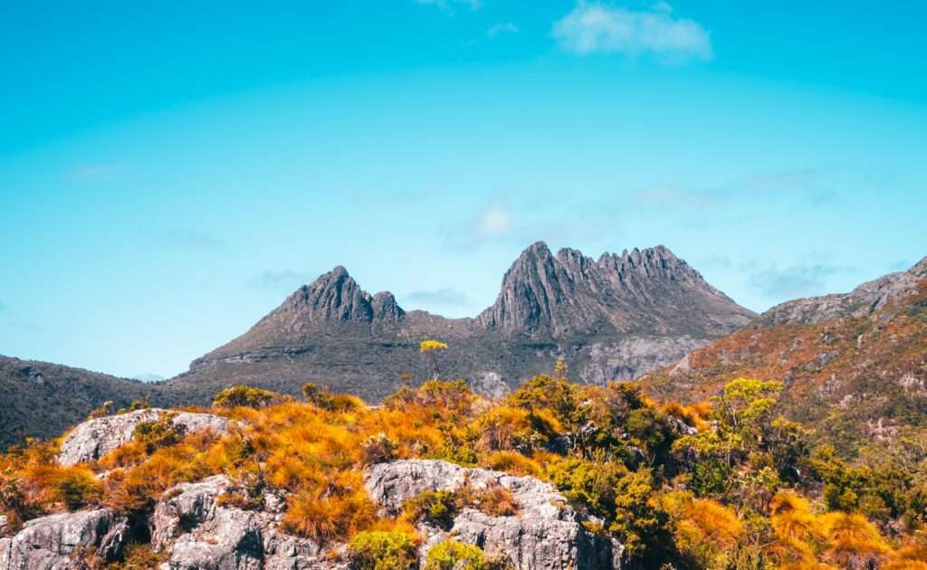 Tasmania