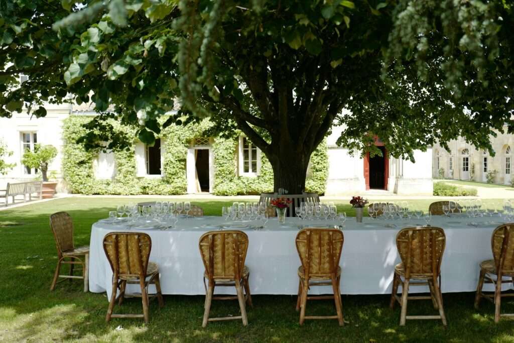 Top 10 Wines
