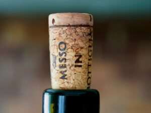 Fun Activities, Tasting Tips