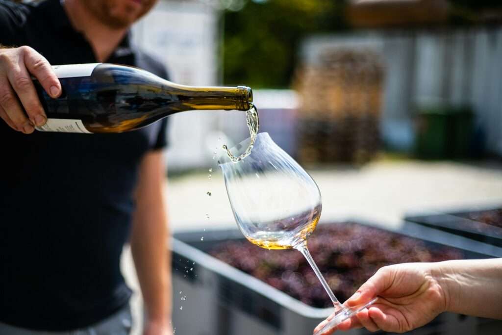 Wine Tips for Beginners