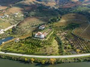 Wine Regions