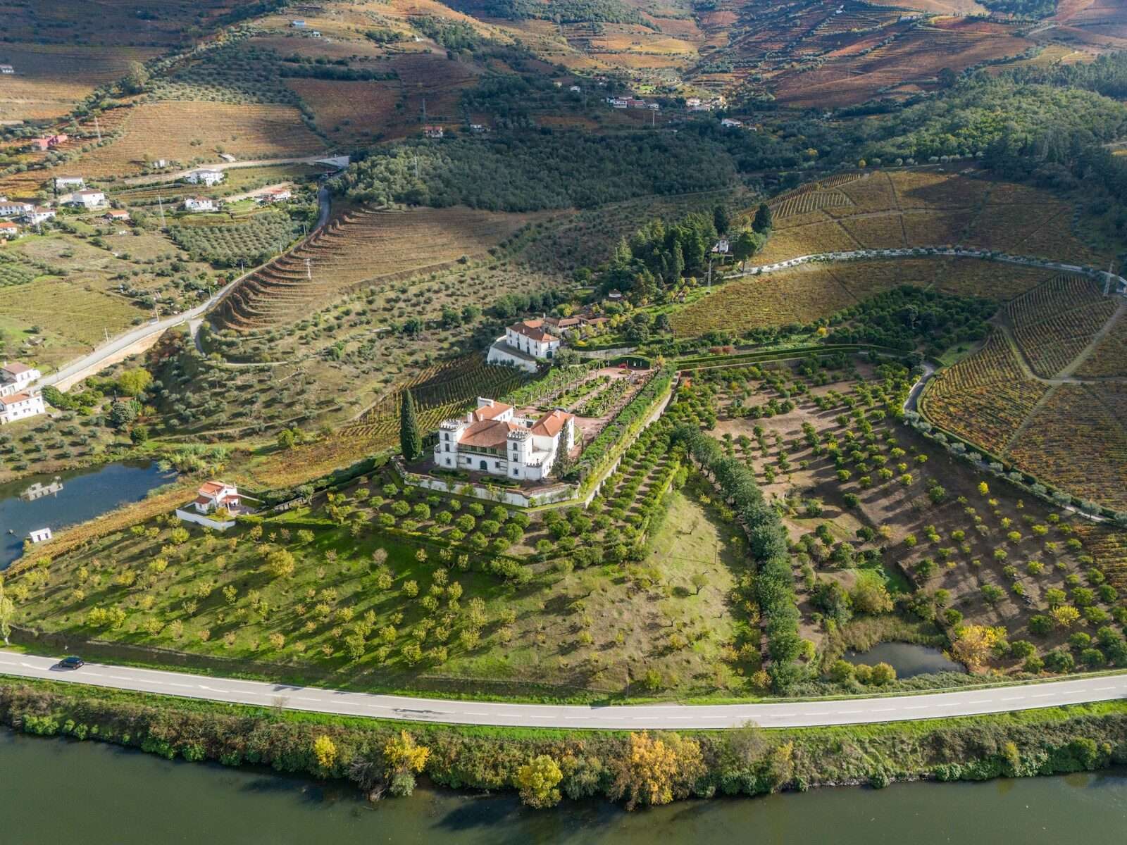 Wine Regions