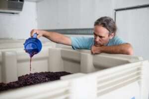 Wine Blending