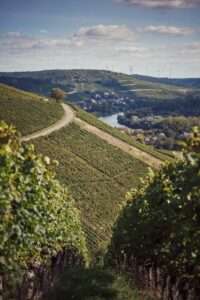 German Wine