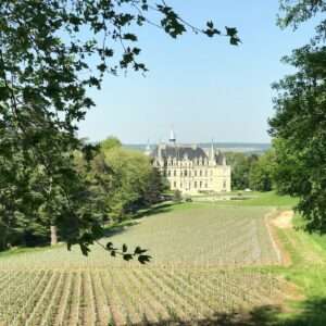 Loire Valley Wine