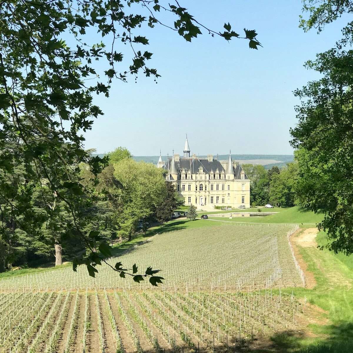 Loire Valley Wine