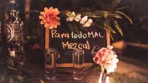 Mezcal vs Tequila