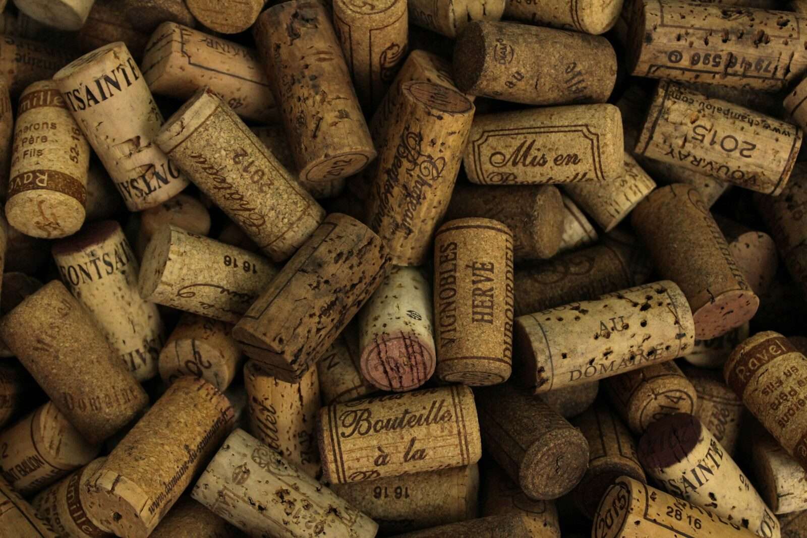 Carménère Wine